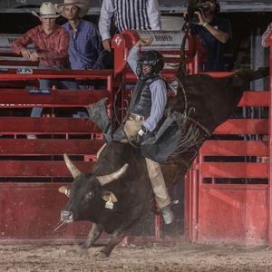 Meet your Posher, Cole